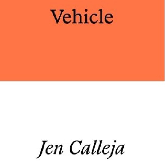 Vehicle book cover.jpg